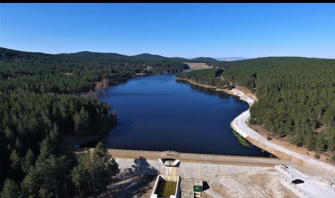 Eski Orman ve Su İşleri Bakanı Prof. Dr. Veysel Eroğlu,
