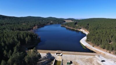Eski Orman ve Su İşleri Bakanı Prof. Dr. Veysel Eroğlu,