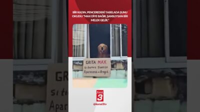 Bir kadın, penceredeki tabelada şunu okudu: ‘Max diye bağır, şanslıysan