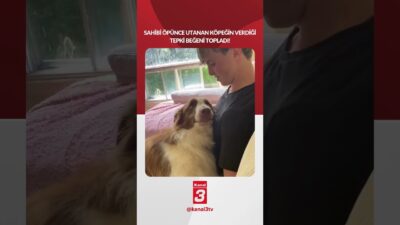 Sahibi öpünce utanan köpeğin verdiği tepki beğeni topladı! 📶https://kanal3.com.tr/ Sosyal