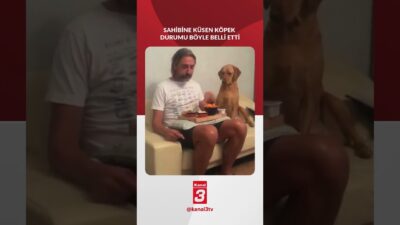 Sahibine küsen köpek durumu böyle belli etti! 📶https://kanal3.com.tr/ Sosyal Medya