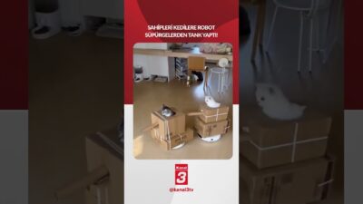 Sahipleri kedilere robot süpürgelerden tank yaptı! 📶https://kanal3.com.tr/ Sosyal Medya Hesaplarımızı