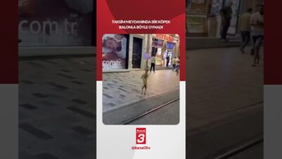 Taksim meydanında bir köpek balonla böyle oynadı! 📶https://kanal3.com.tr/ Sosyal Medya