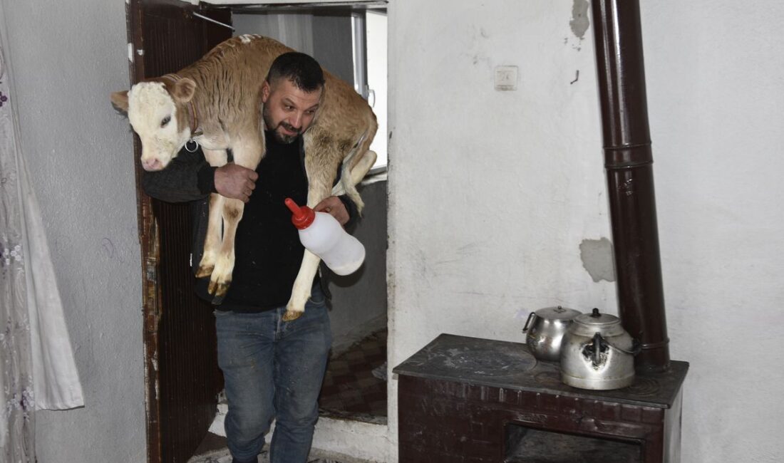 Bitlis’in Tatvan ilçesinde hayvancılıkla uğraşan Çetin Aygül, sağlık durumu bozulan