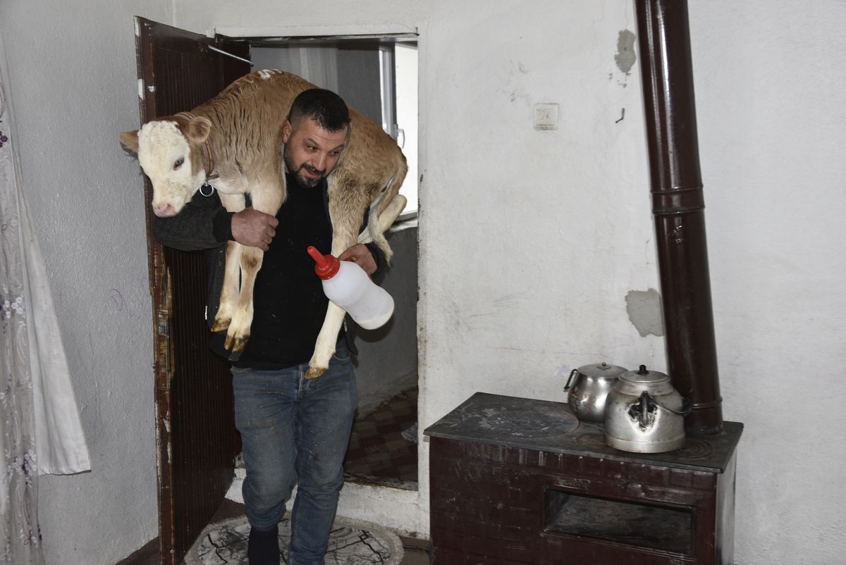 Bitlis’in Tatvan ilçesinde hayvancılıkla uğraşan Çetin Aygül, sağlık durumu bozulan