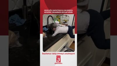 Musluğu kapatmaya çalışırken kendini yıkanırken bulan minik.. 📶https://kanal3.com.tr/ Sosyal Medya