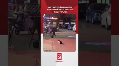 📶https://kanal3.com.tr/ Sosyal Medya Hesaplarımızı Takip Ederek Son Dakika Haberleri Alabilirsiniz;