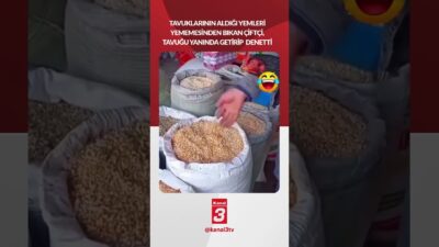 Kanal 3Per, Mart 19, 2026 2:01pmURL:Embed:Tavuklarının aldığı yemleri yememesinden bıkan