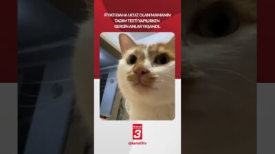 Fiyatı daha ucuz olan mamanın tadım testi yapılırken gergin anlar