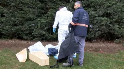 İstanbul Sancaktepe’de TEM bağlantı yolu kenarındaki yeşillik alanda, yeni doğmuş