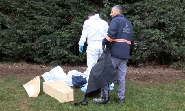 İstanbul Sancaktepe’de TEM bağlantı yolu kenarındaki yeşillik alanda, yeni doğmuş