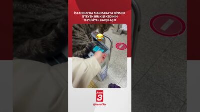 İstanbul’da Marmaray’a binmek isteyen bir kişi kedinin tepkisiyle karşılaştı! 📶https://kanal3.com.tr/