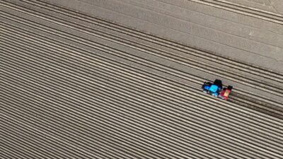 Dünya Bankası verilerine göre, martta tarım fiyat endeksi yüzde 1,5,