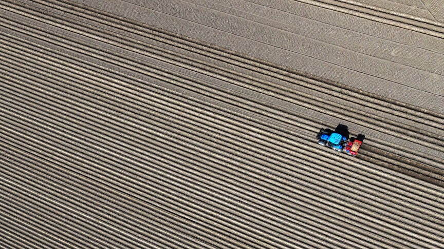 Dünya Bankası verilerine göre, martta tarım fiyat endeksi yüzde 1,5,