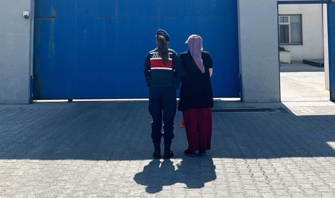 Afyonkarahisar’da hakkında kesinleşmiş hapis cezası bulunan bir şahıs, jandarma ekiplerinin