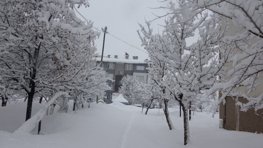 Bitlis’te etkili olan kar yağışı nedeniyle 111 köy yolu ulaşıma