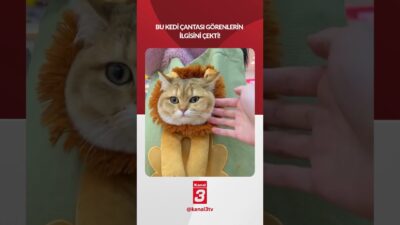 Kanal 3Sal, Nisan 7, 2026 10:00amURL:Embed:Bu kedi çantası görenlerin ilgisini