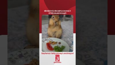 Kanal 3Pts, Nisan 27, 2026 12:00pmURL:Embed:Bir kişi evcil sincabıyla kahvaltı