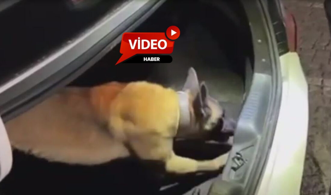 Afyonkarahisar İl Emniyet Müdürlüğü ekiplerince gerçekleştirilen uygulamada, birlikte hareket ettikleri