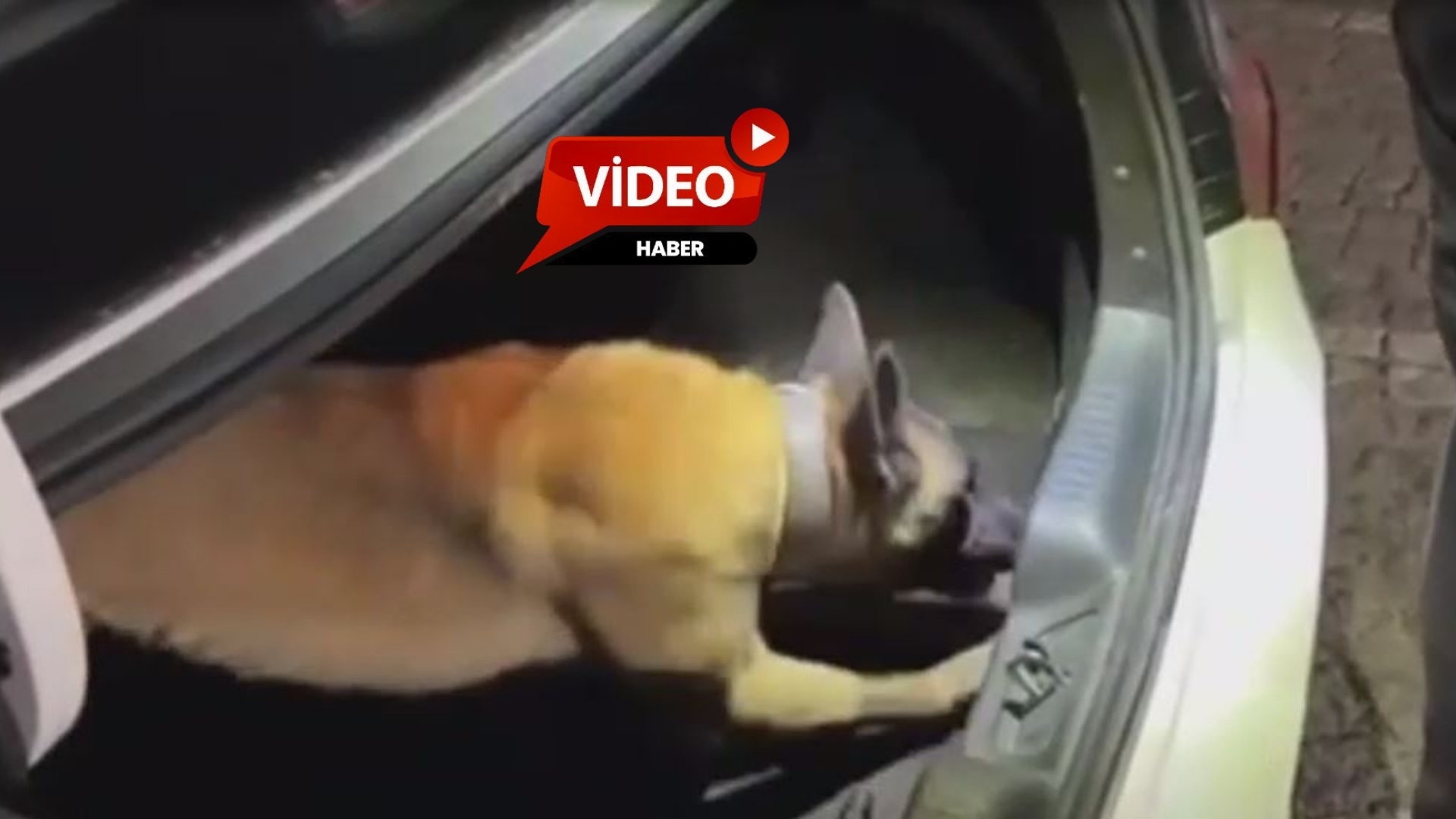 Afyonkarahisar İl Emniyet Müdürlüğü ekiplerince gerçekleştirilen uygulamada, birlikte hareket ettikleri