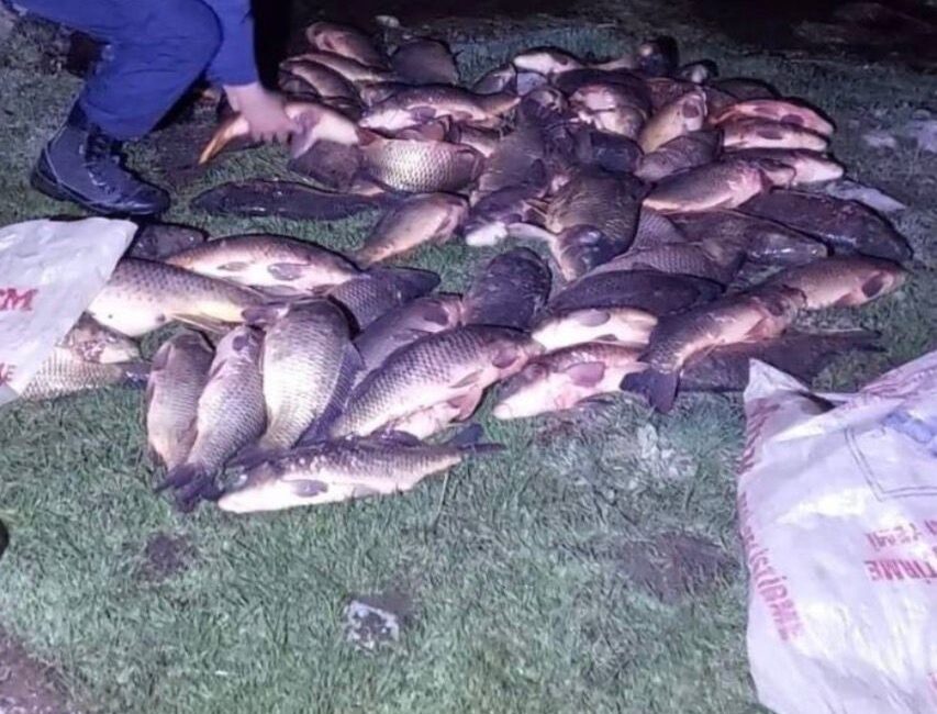 Bolu'nun Seben ilçesinde jandarma ekiplerince gerçekleştirilen operasyonda, Seben Göleti'ne yasa