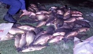 Bolu'nun Seben ilçesinde jandarma ekiplerince gerçekleştirilen operasyonda, Seben Göleti'ne yasa