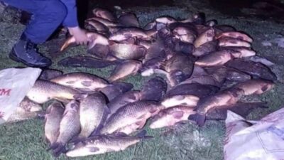 Bolu'nun Seben ilçesinde jandarma ekiplerince gerçekleştirilen operasyonda, Seben Göleti'ne yasa