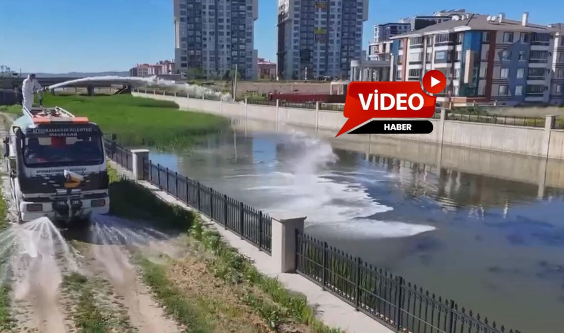 Afyonkarahisar Belediyesi, yaz aylarında artış gösteren sinek ve haşere popülasyonuna