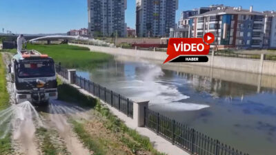 Afyonkarahisar Belediyesi, yaz aylarında artış gösteren sinek ve haşere popülasyonuna