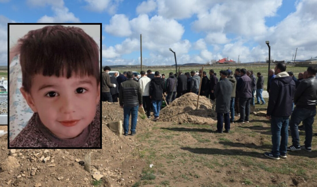 Van’ın Saray ilçesinde evlerinin önünde oyun oynarken sahipsiz sokak köpeklerinin