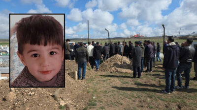 Van’ın Saray ilçesinde evlerinin önünde oyun oynarken sahipsiz sokak köpeklerinin