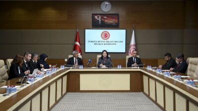 "Küçük Eller, Büyük Dilekler" projesiyle ortaokul öğrencilerinin Meclis'e ilettiği dilek,