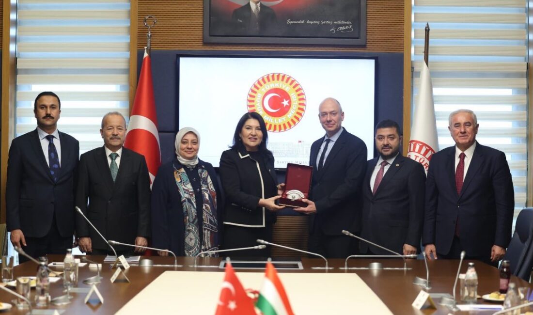 Macaristan Anayasa Mahkemesi Üyesi ve eski Temel Haklar Komiseri (Ombudsman)