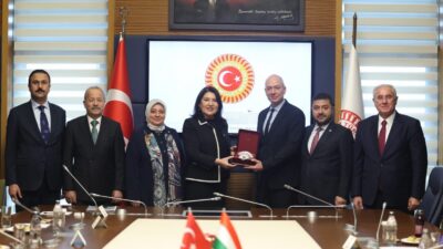 Macaristan Anayasa Mahkemesi Üyesi ve eski Temel Haklar Komiseri (Ombudsman)