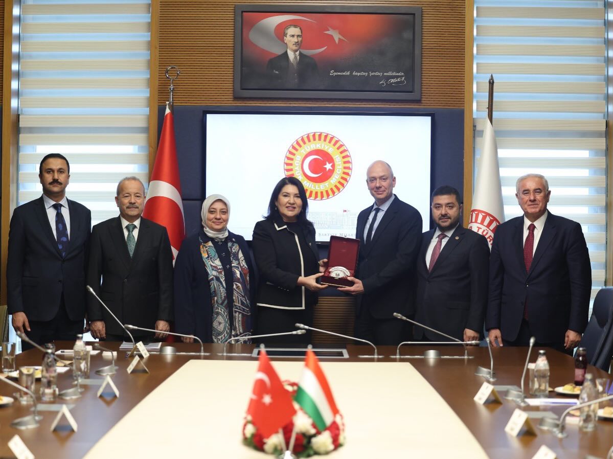 Macaristan Anayasa Mahkemesi Üyesi ve eski Temel Haklar Komiseri (Ombudsman)