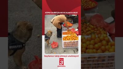 Köpek sahibi için meyve almaya geldi… 📶https://kanal3.com.tr/ Sosyal Medya Hesaplarımızı