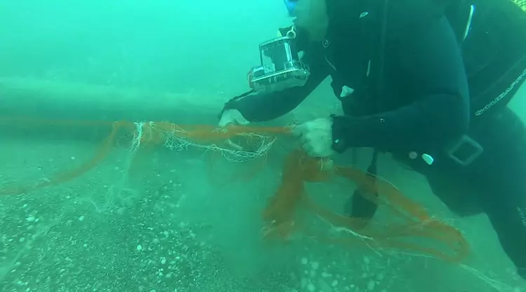 Deniz ve iç sularda unutulan veya terk edilen 'hayalet ağ'