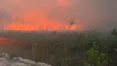 
ABD'nin Georgia eyaletinde çıkan orman yangınlarında 120'den fazla evin kullanılamaz