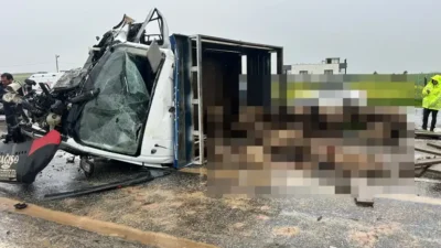 Siirt’in Kurtalan ilçesinde koyun yüklü kamyonet ile otomobilin çarpıştığı kazada