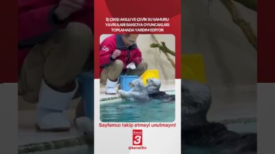 Kanal 3Cum, Nisan 24, 2026 6:30amURL:Embed:İş çıkışı akıllı ve çevik