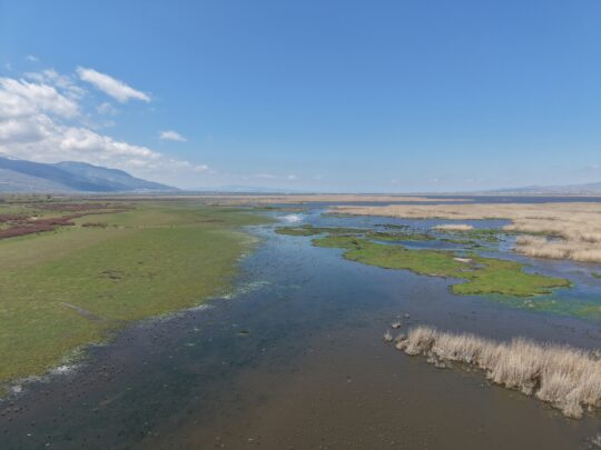 Afyonkarahisar’daki Eber Gölü, son dönemde etkili olan yağışlarla birlikte yeniden