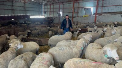 Balıkesir’in Manyas ilçesinde yarım asrı aşkın süredir devam eden bir