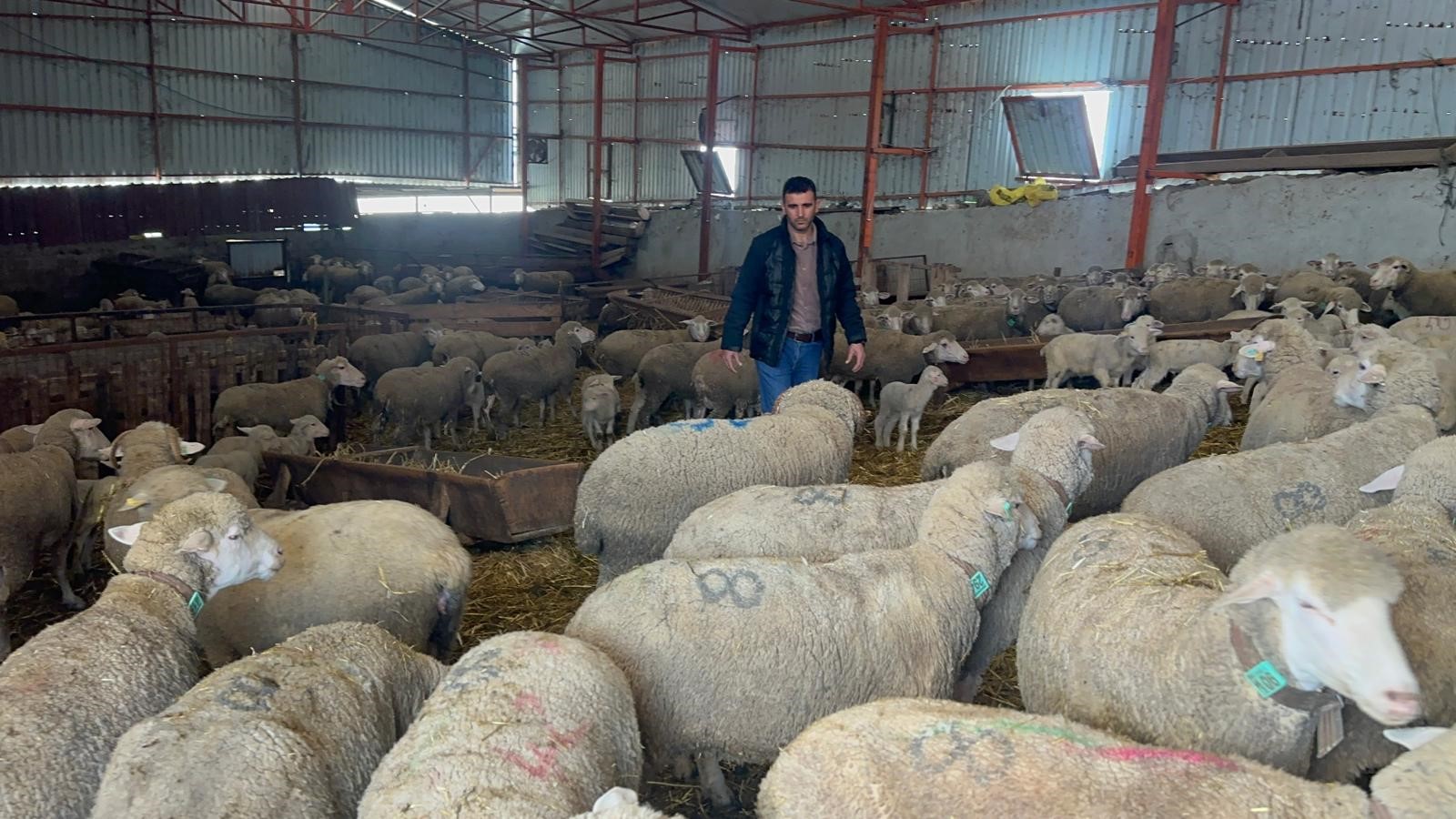 Balıkesir’in Manyas ilçesinde yarım asrı aşkın süredir devam eden bir