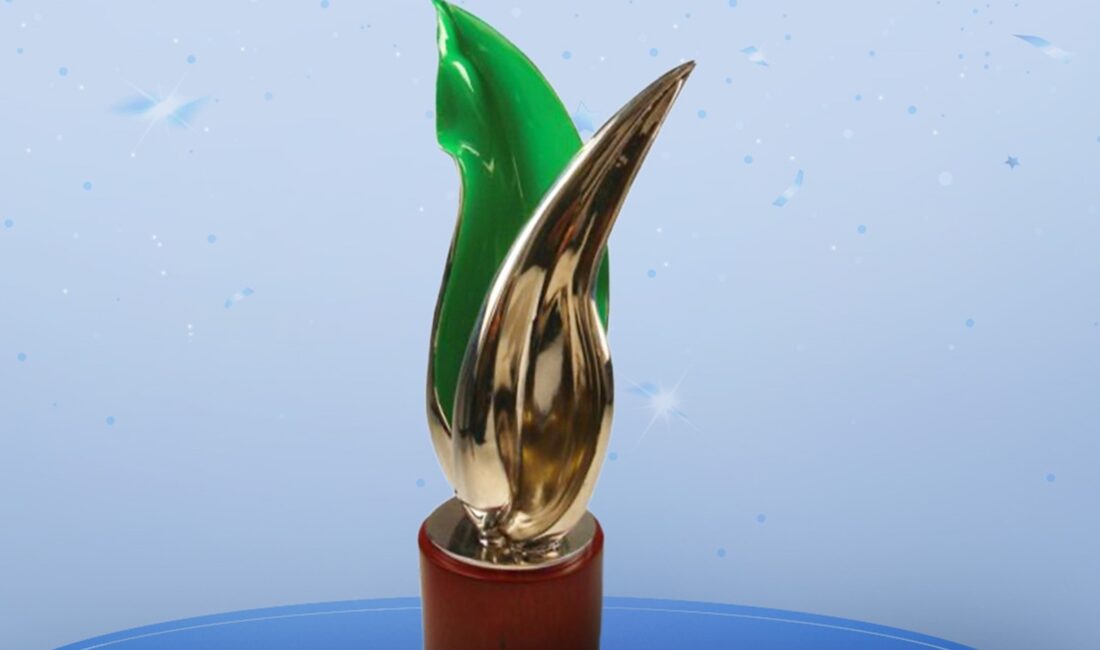 Afyonkarahisar dahil bölgedeki 5 ile elektrik dağıtım hizmeti sunan OEDAŞ,