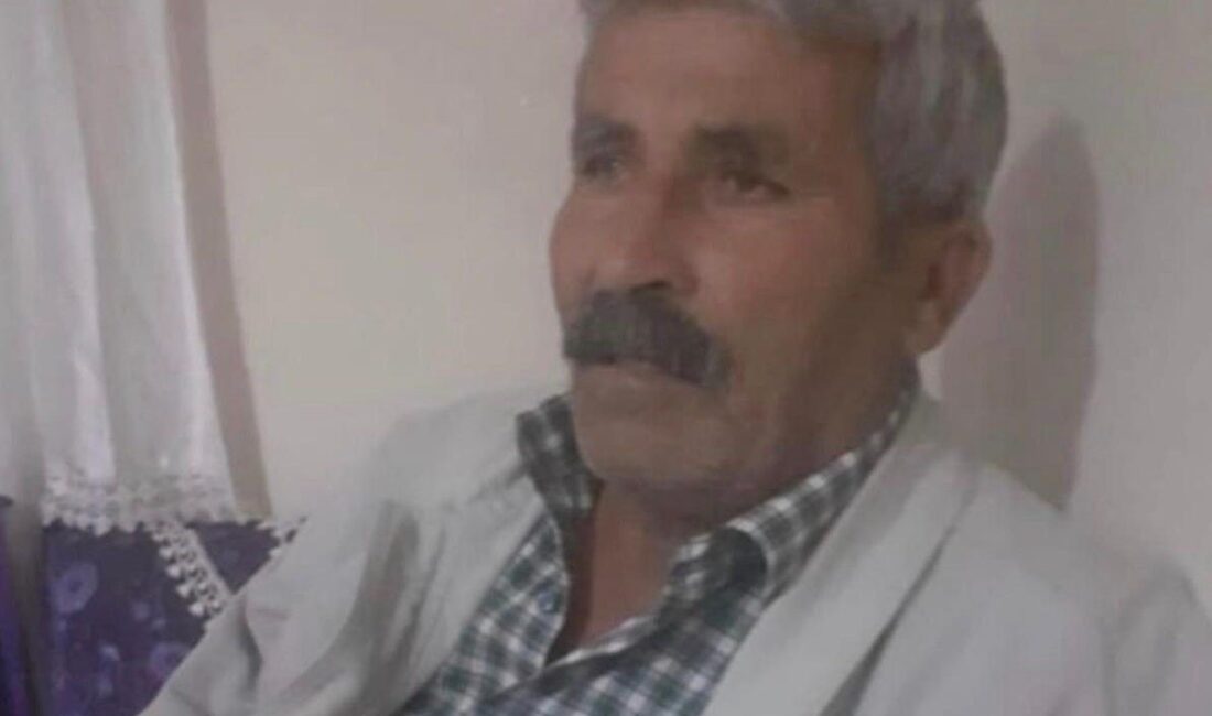 Diyarbakır'ın Sur ilçesinde kovaladığı ineğinin peşinden giden kişi, araç çarpması