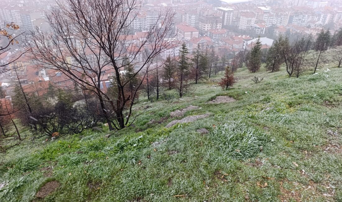 Afyonkarahisar genelinde etkili olan soğuk hava dalgası, nisan ayında kent