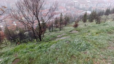 Afyonkarahisar genelinde etkili olan soğuk hava dalgası, nisan ayında kent