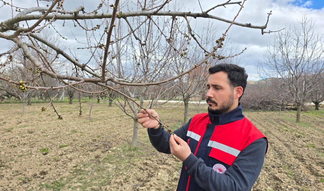 Afyonkarahisar’da etkisini sürdüren olumsuz hava şartları ve düşen sıcaklıklar nedeniyle