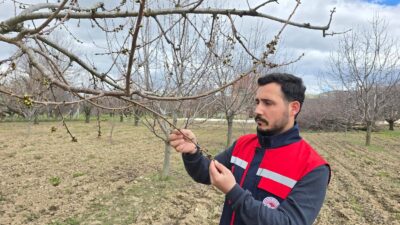 Afyonkarahisar’da etkisini sürdüren olumsuz hava şartları ve düşen sıcaklıklar nedeniyle