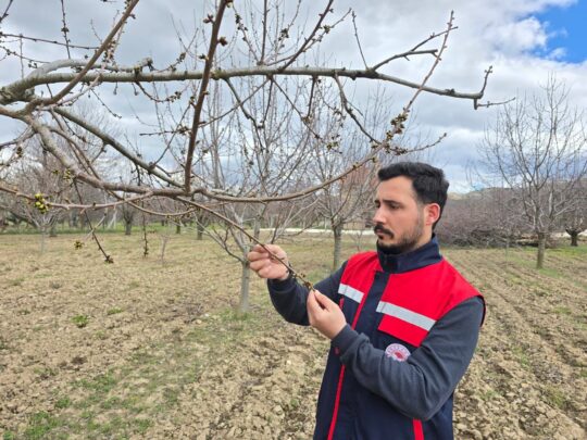 Afyonkarahisar’da etkisini sürdüren olumsuz hava şartları ve düşen sıcaklıklar nedeniyle